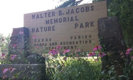 Construction underway for Walter B. Jacobs Park nature facility