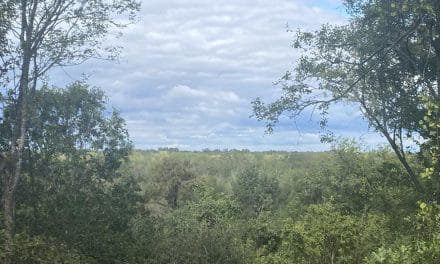 The business of nature & 23 miles of trails: 1North Adventure Trails coming soon