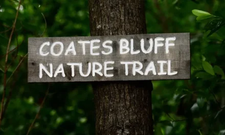 Coates Bluff Nature Trail to receive $750k from the Department of Wildlife & Fisheries