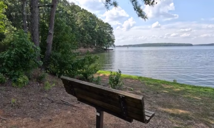 HEART OF LOUISIANA: Lake Claiborne State Park