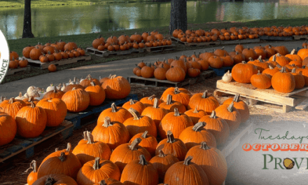 Junior League of Shreveport-Bossier’s Pumpkin Patch at Provenance